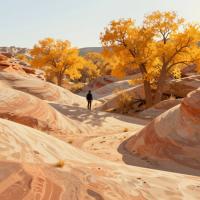 Illustrative header image for Autumn Hiking in Escalante