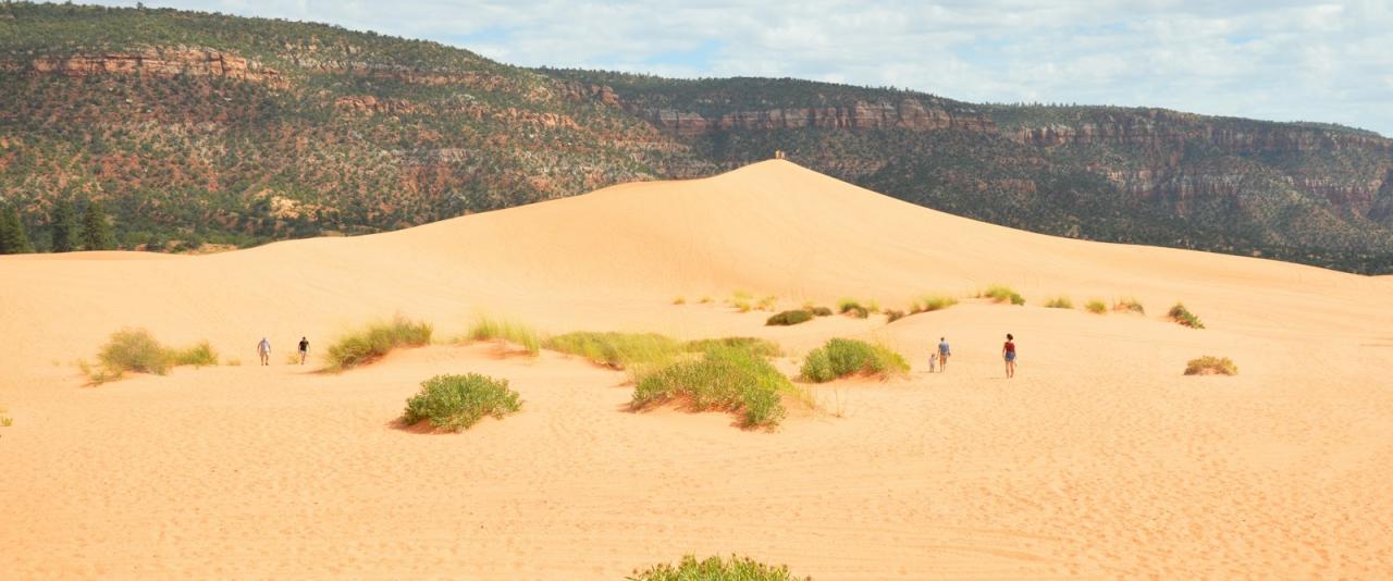 A wide shot of a large, orange sand dune with sparse green vegetation and several small figures of people walking on the slope, backed by a dark, forested mesa under a cloudy sky.