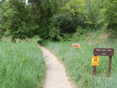 A dirt trail winding through tall green grass and trees, with a wooden sign on the right that reads "WIND CAVE TRAIL 032" and a yellow "No Fireworks" sign attached to it.