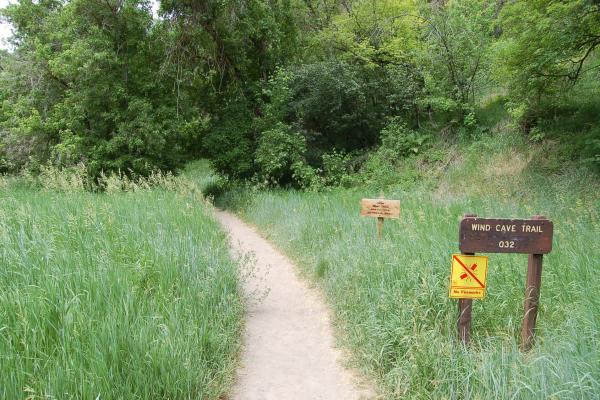 Wind Cave Trail