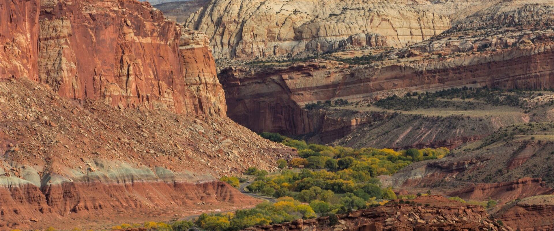 Fruita orchards beneath the cliffs of Capitol Reef