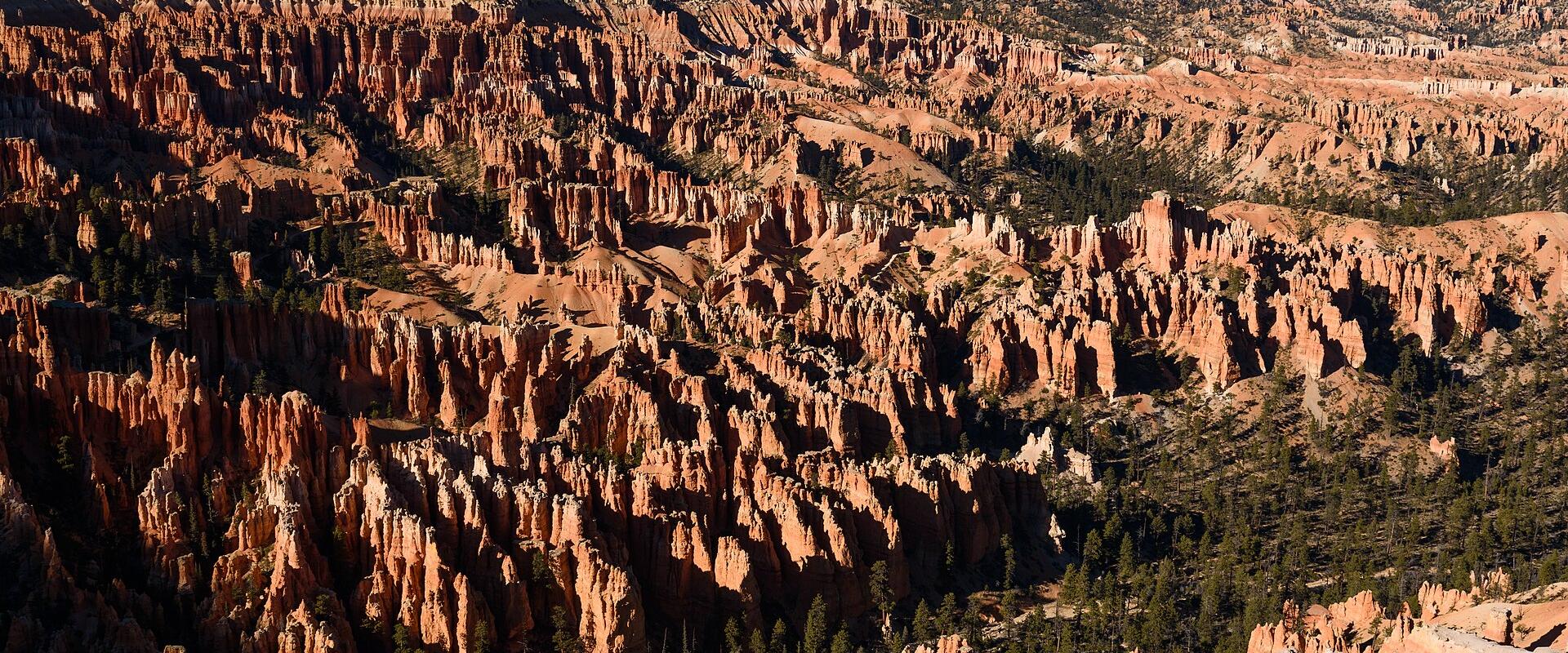 Hoodoos filling the Bryce Amphitheater