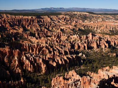 Hoodoos filling the Bryce Amphitheater