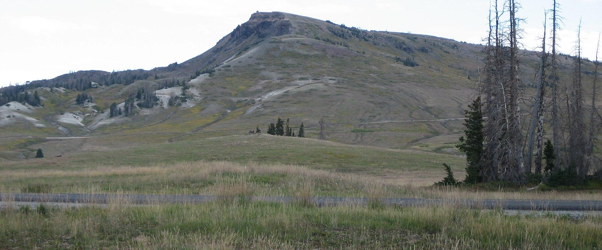 A landscape photograph showing a grassy, rolling hillside with a prominent rocky outcrop or small peak in the center, a line of dead standing trees to the right, and a paved road running horizontally across the foreground.
