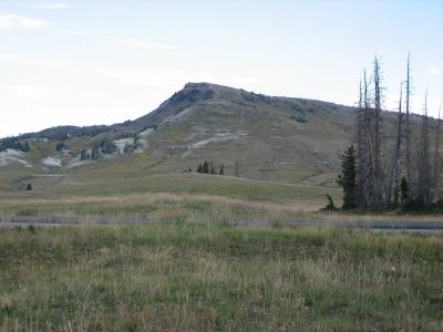 A landscape photograph showing a grassy, rolling hillside with a prominent rocky outcrop or small peak in the center, a line of dead standing trees to the right, and a paved road running horizontally across the foreground.