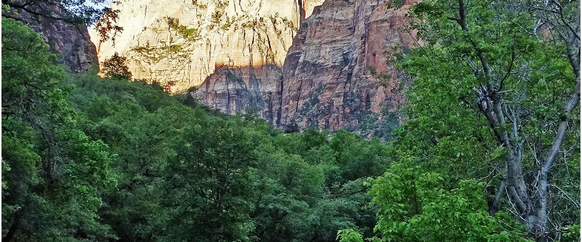 A paved two-lane road curves through a lush, green, tree-lined area, with a large, light-colored sandstone cliff face rising in the background.