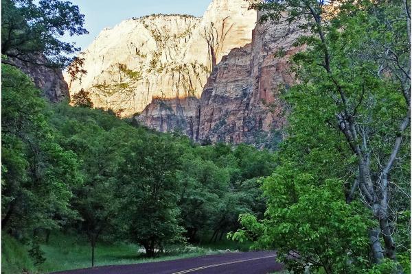 Zion Canyon Scenic Drive