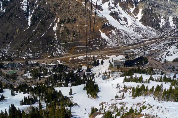 Snowbird