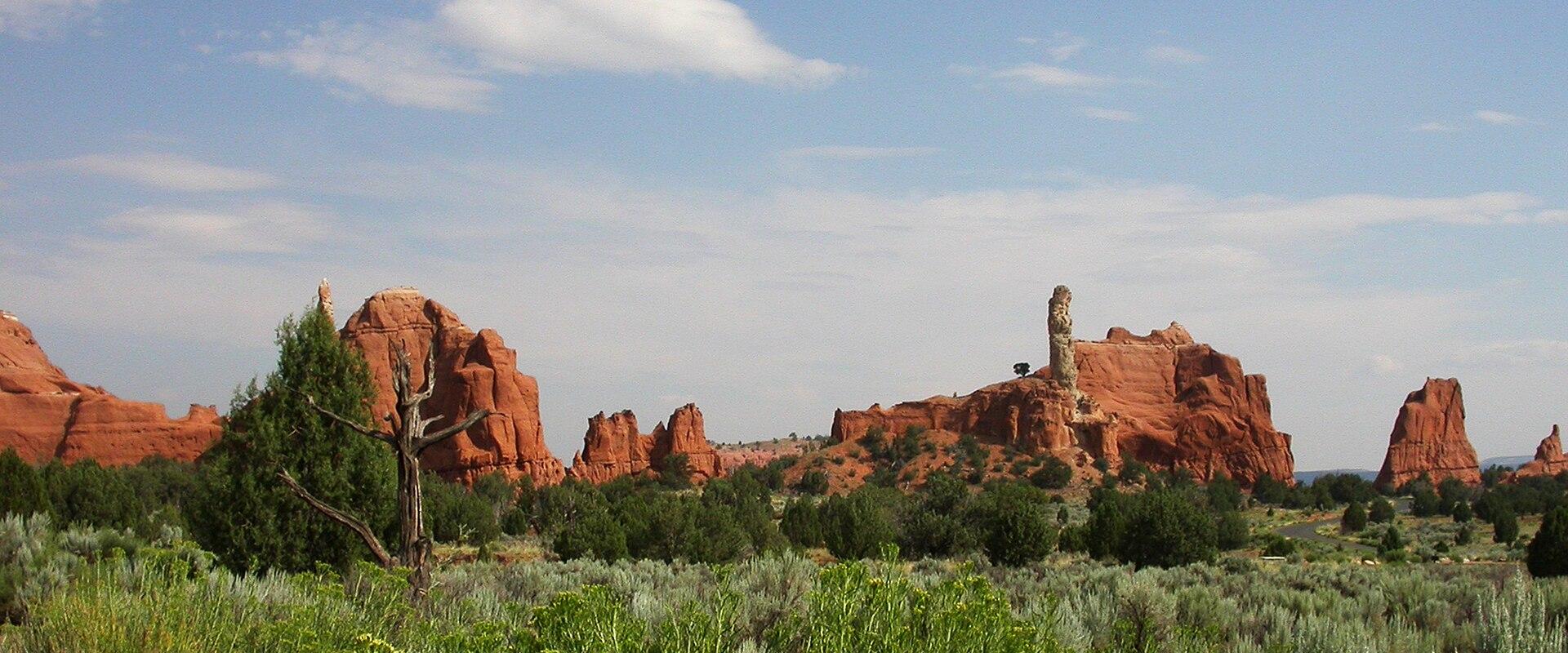 A landscape photograph showing a desert environment with reddish sandstone rock formations, including a prominent tall, thin spire, set against a blue sky with white clouds, and foreground vegetation.