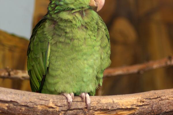 Utah's Hogle Zoo