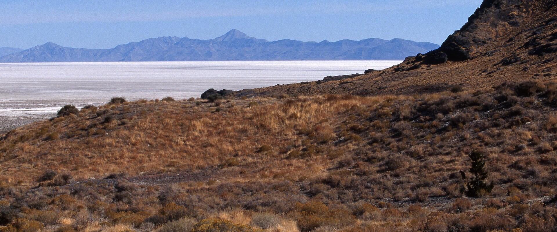 A landscape photograph showing a foreground of dry, brown scrub and desert vegetation, with a large, flat, white salt flat in the middle ground and a range of mountains in the distance.