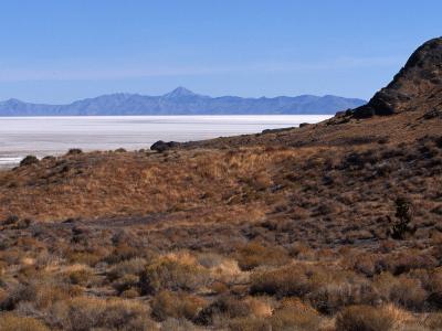 A landscape photograph showing a foreground of dry, brown scrub and desert vegetation, with a large, flat, white salt flat in the middle ground and a range of mountains in the distance.