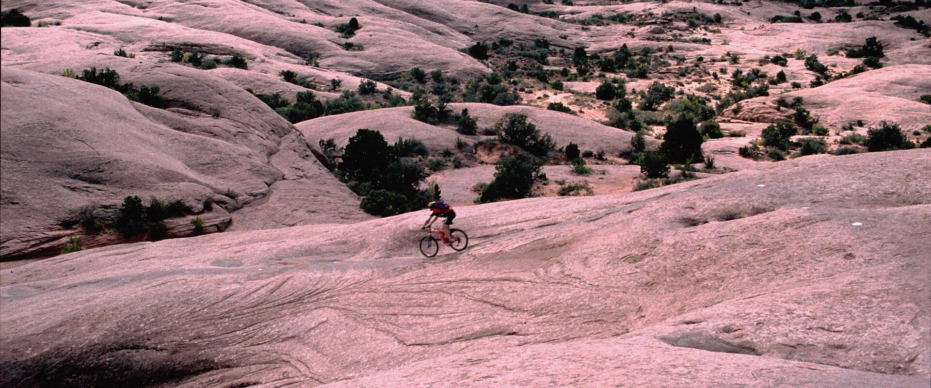 Cycling & Mountain Biking