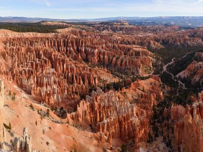A panoramic view of a deep canyon amphitheater filled with numerous tall, thin, orange-red rock spires (hoodoos) and scattered green coniferous trees, set against a blue sky.