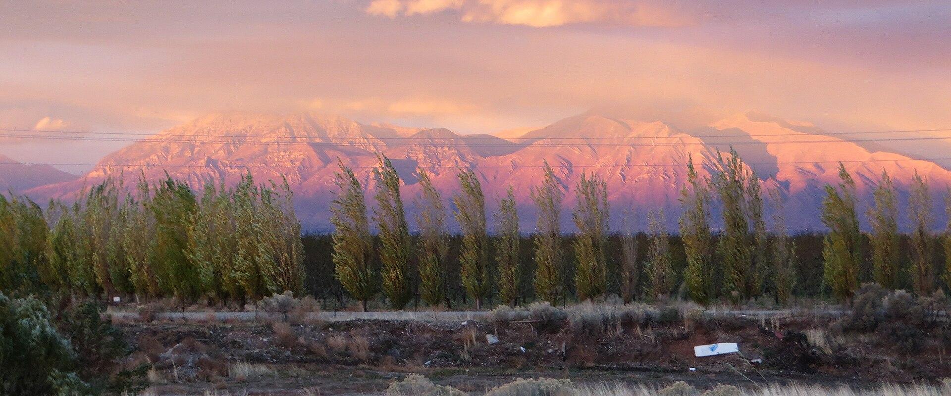 A landscape photograph showing a row of tall, thin trees in the foreground, with a large, snow-dusted mountain range illuminated by pink and orange sunset light in the background.