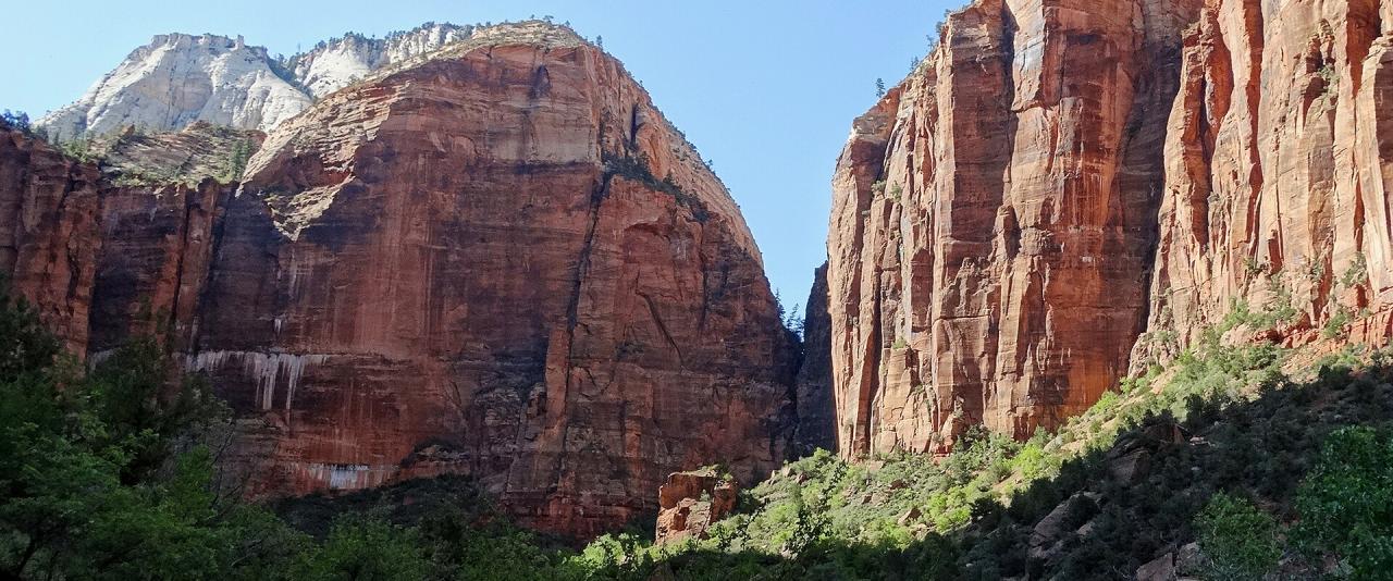 A view of towering red sandstone cliffs and green vegetation in a canyon, likely taken from a trail or road within a national park.
