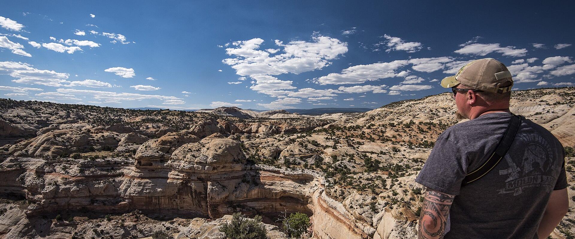 A man in a grey t-shirt and cap stands on a sandstone ledge overlooking a vast, arid canyon landscape with layered rock formations and sparse vegetation under a blue sky.