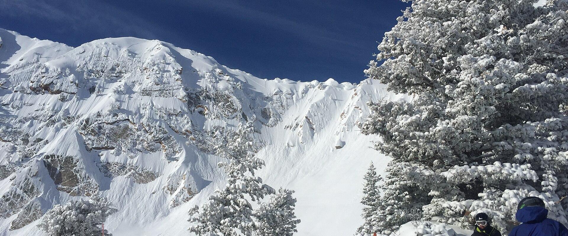 Skiers on the snowy slopes at Snowbasin