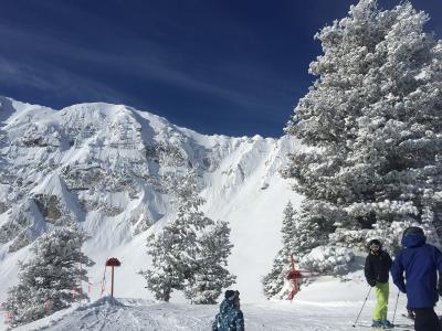 Skiers on the snowy slopes at Snowbasin