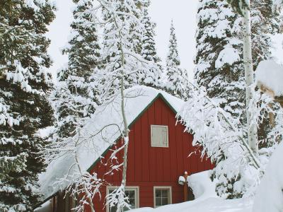A red wooden building with a steep, snow-covered roof, surrounded by snow-laden evergreen trees and aspen branches in the foreground.