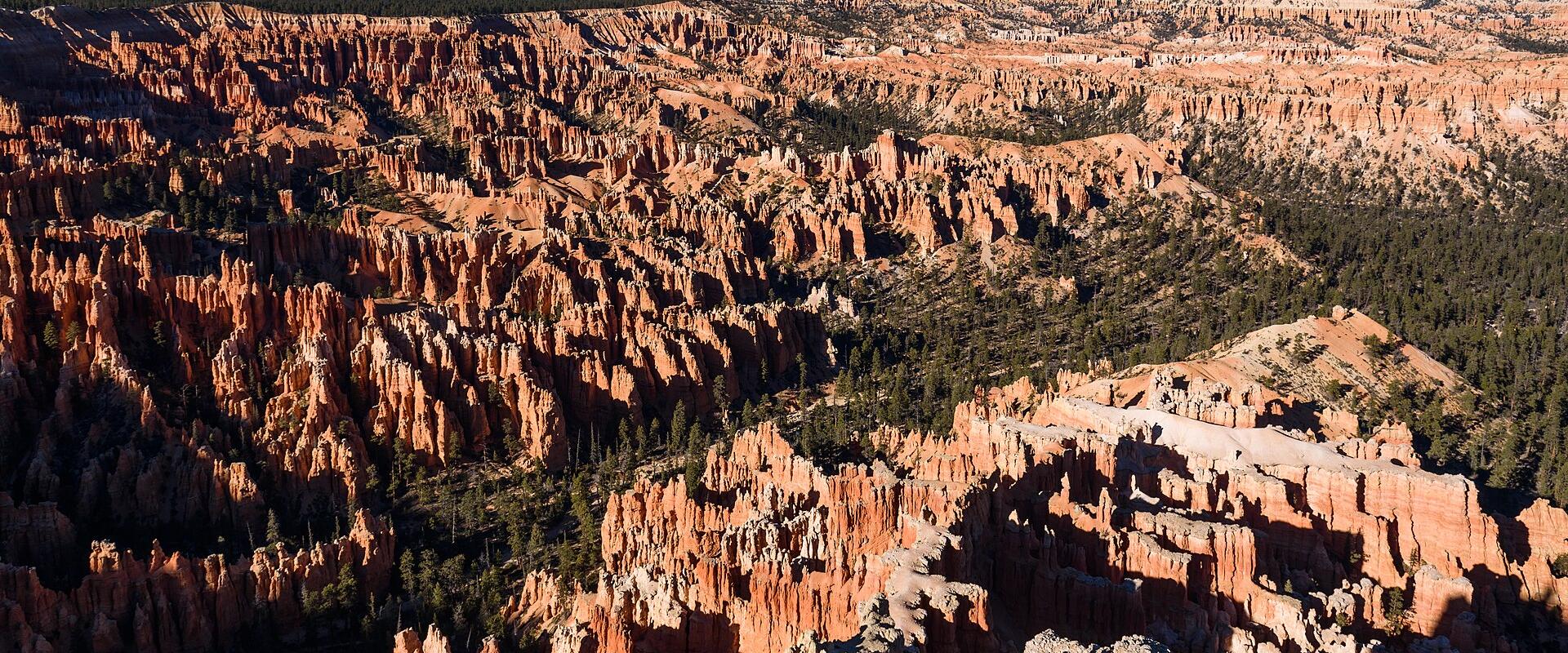 A high-angle landscape photograph showing a vast amphitheater of orange and white hoodoo rock formations, with green coniferous trees scattered throughout the canyon, under a clear blue sky.