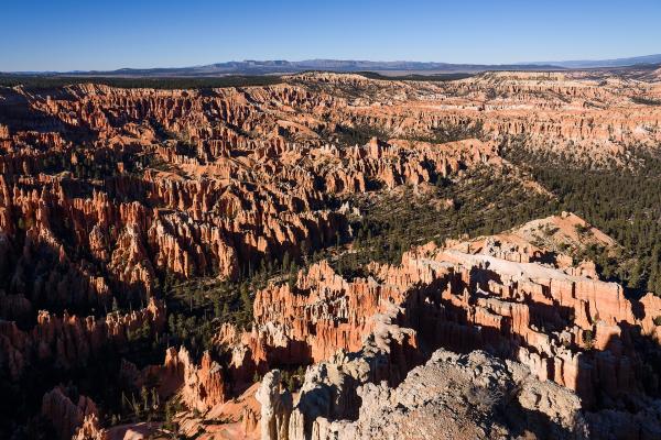 A high-angle landscape photograph showing a vast amphitheater of orange and white hoodoo rock formations, with green coniferous trees scattered throughout the canyon, under a clear blue sky.
