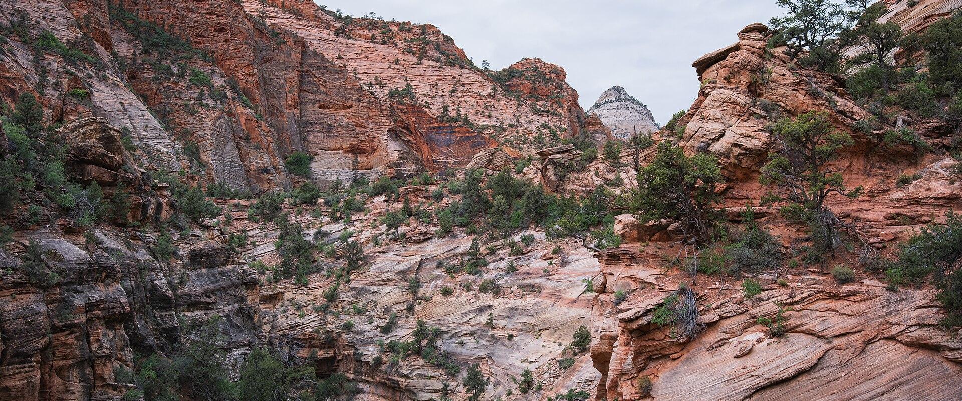 Sandstone canyon along the Canyon Overlook Trail