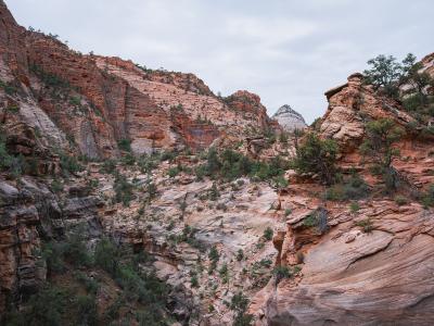 Sandstone canyon along the Canyon Overlook Trail