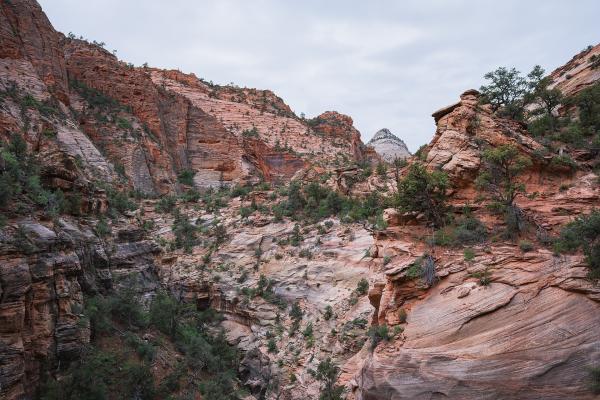 Canyon Overlook Trail