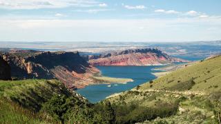 Dinosaurland & the Uinta Mountains