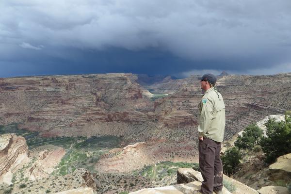 Wedge Overlook