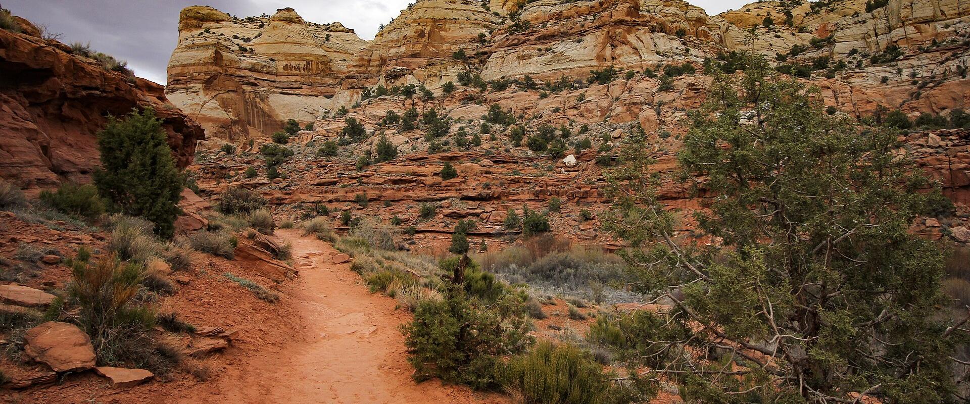 A dirt trail winding through a desert landscape with red rock formations, sparse green vegetation, and a large, stratified rock face in the background.