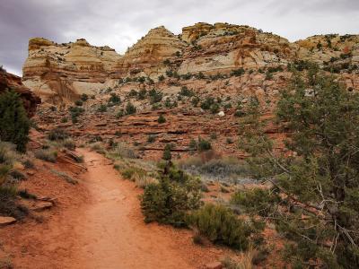 A dirt trail winding through a desert landscape with red rock formations, sparse green vegetation, and a large, stratified rock face in the background.
