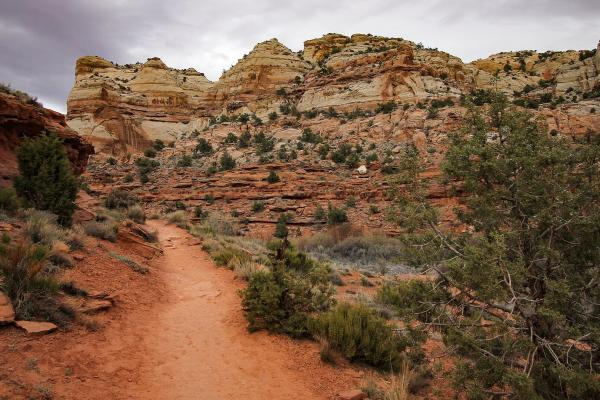 Lower Calf Creek Falls