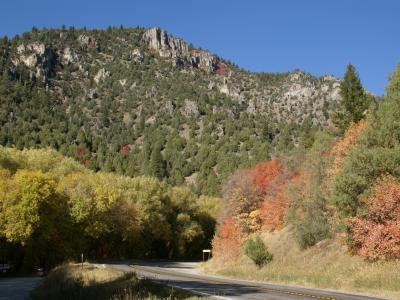 Autumn colour along Logan Canyon