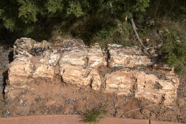 Escalante Petrified Forest State Park