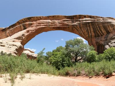 A natural sandstone bridge at Natural Bridges