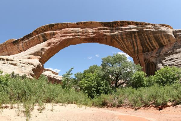 Natural Bridges National Monument