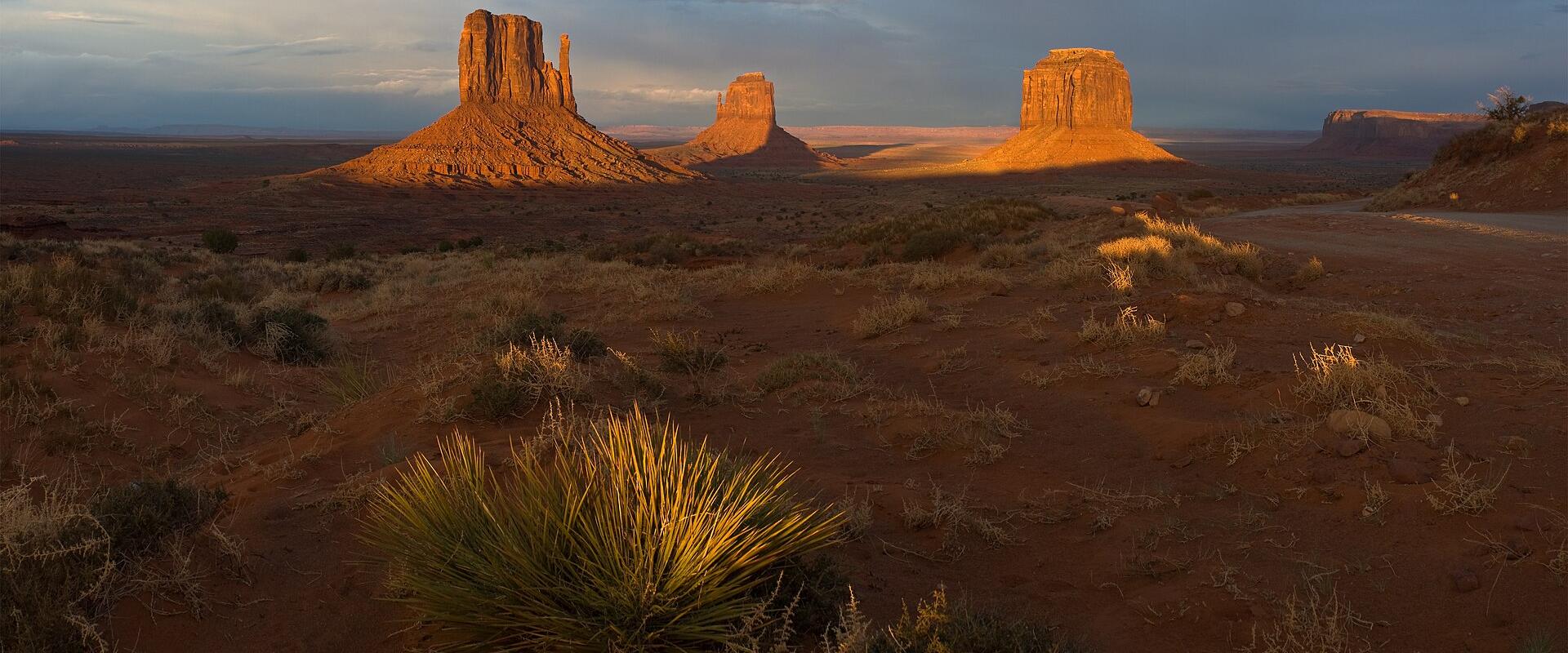 A desert landscape at sunset featuring three prominent, flat-topped sandstone buttes (monuments) rising from the ground, with a large yucca plant in the foreground.