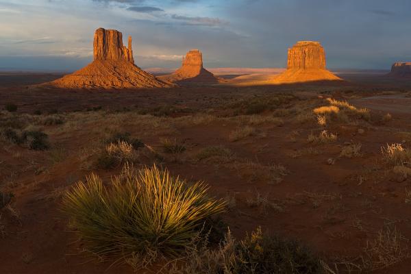 A desert landscape at sunset featuring three prominent, flat-topped sandstone buttes (monuments) rising from the ground, with a large yucca plant in the foreground.