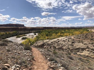 A dirt trail in the foreground leads towards a river valley with green vegetation, set against a backdrop of a flat-topped mesa under a blue sky with clouds.