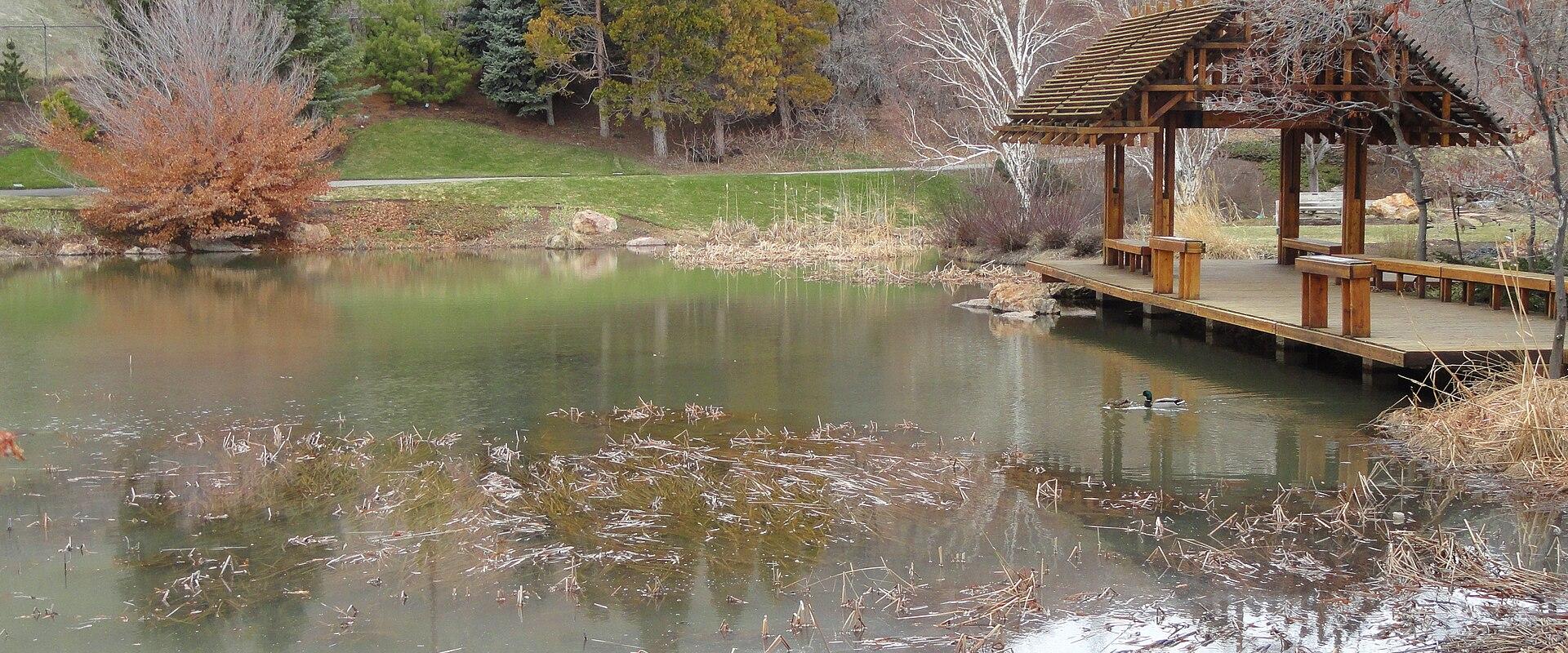 A view of a pond with a wooden gazebo on the right, surrounded by trees and grass, with a duck visible in the water.
