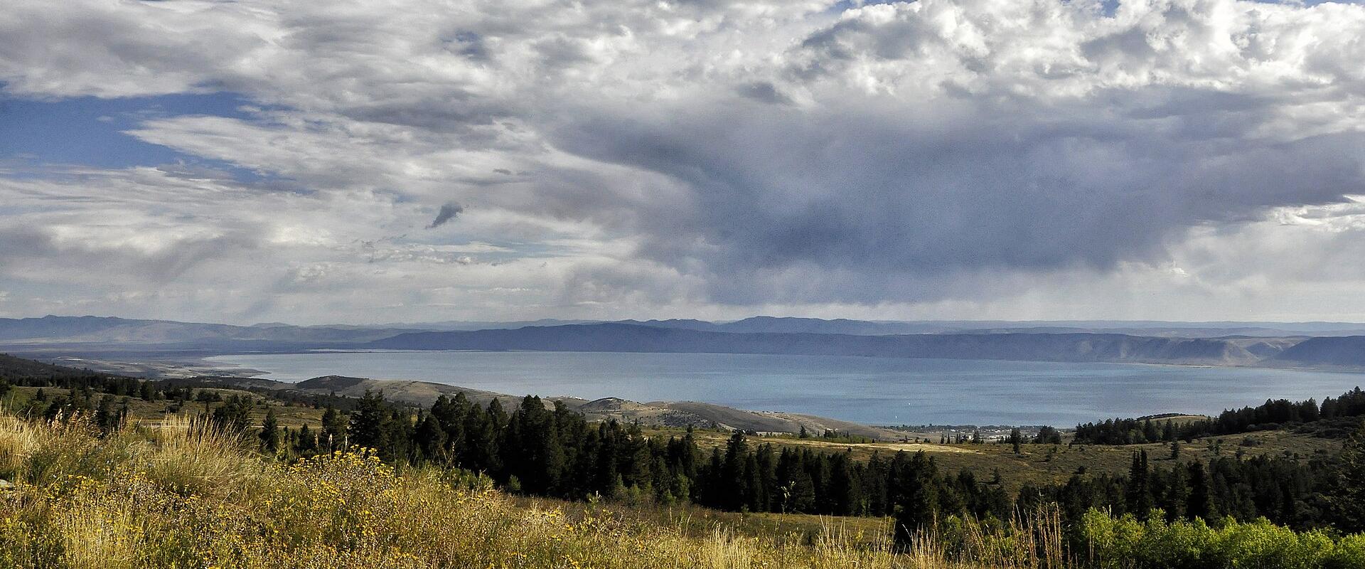 A landscape view showing a large, turquoise alpine lake in the distance, framed by rolling hills in the foreground covered with grass, wildflowers, and scattered coniferous trees, under a cloudy sky.