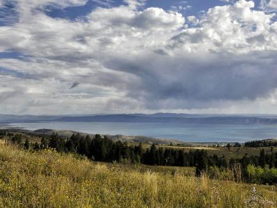 A landscape view showing a large, turquoise alpine lake in the distance, framed by rolling hills in the foreground covered with grass, wildflowers, and scattered coniferous trees, under a cloudy sky.