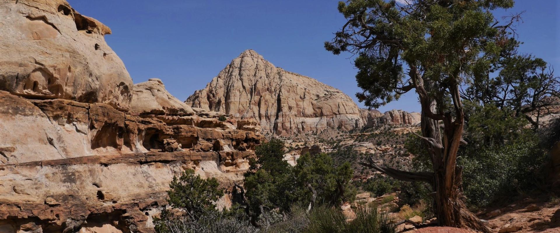 Sandstone landscape along the Hickman Bridge Trail