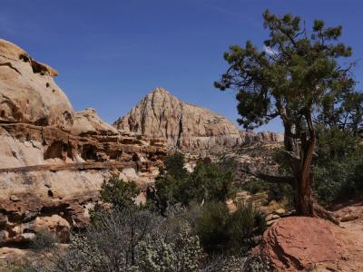 Sandstone landscape along the Hickman Bridge Trail