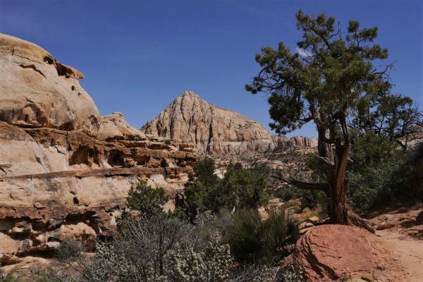 Hickman Bridge Trail