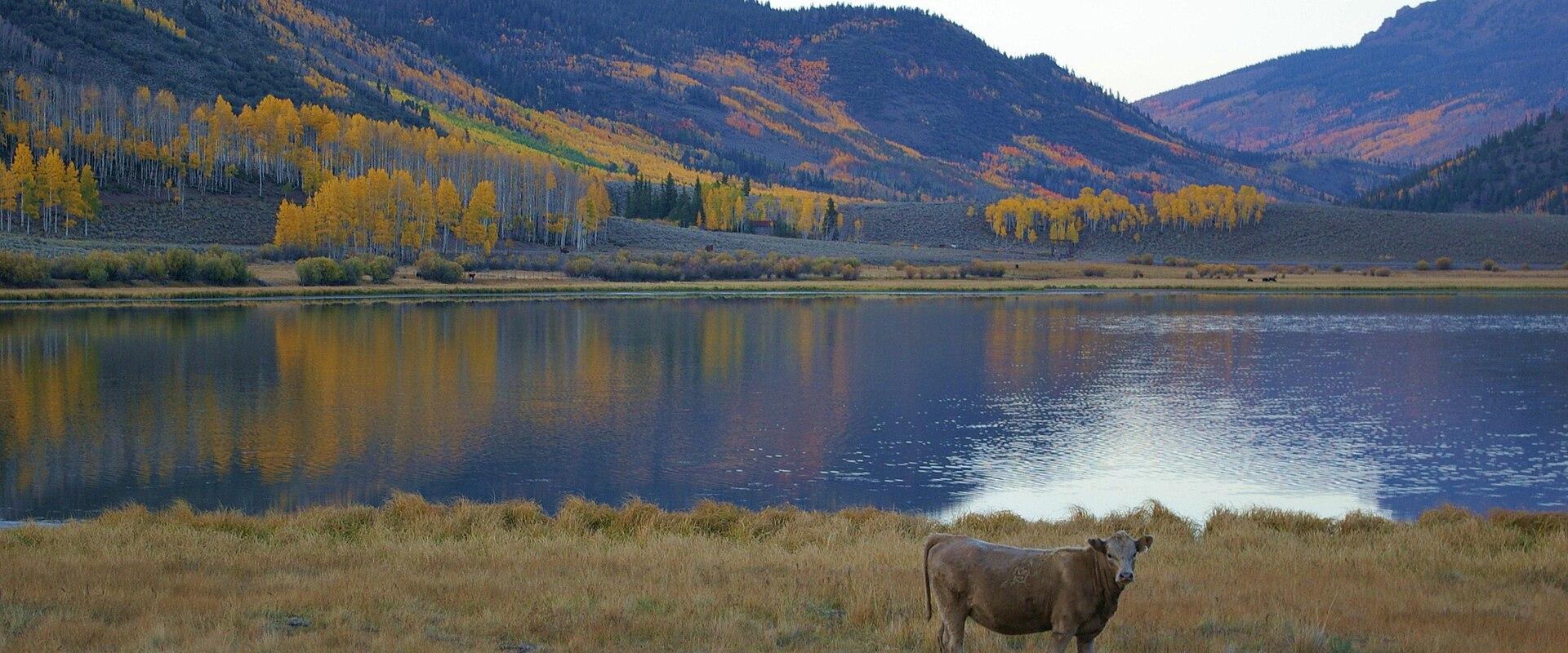 Fish Lake with mountains behind