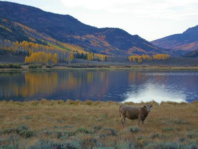 Fish Lake with mountains behind