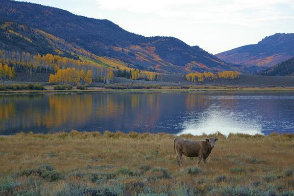 Fish Lake